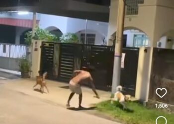 RAKAMAN video seorang lelaki memukul seekor anjing menggunakan besi di Taman Arkid, Ipoh baru-baru ini.