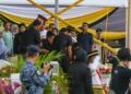 KEJADIAN seorang wanita menceroboh pentas utama dan mendekati Sultan Nazrin Muizzuddin Shah ketika Sambutan Hari Kebangsaan pada Ahad lalu. - UTUSAN/MUHAMAD NAZREEN SYAH MUSTHAFA