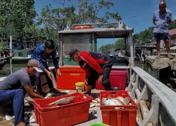 NELAYAN mengumpul hasil tangkapan di Jeti Pengkalan Nelayan Kuala Lukut Kechil, Port Dickson. - UTUSAN/MOHD. SHAHJEHAN MAAMIN