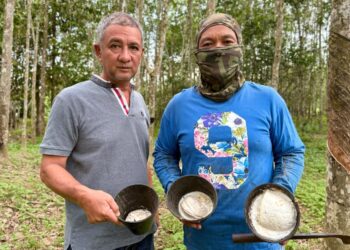 DUA orang penoreh menunjukkan hasil getah mereka ketika ditemui di Kampung Air Taling, Johol, Kuala Pilah. – UTUSAN/ NOR SHAFIQAH MOHD. GHAZALI.