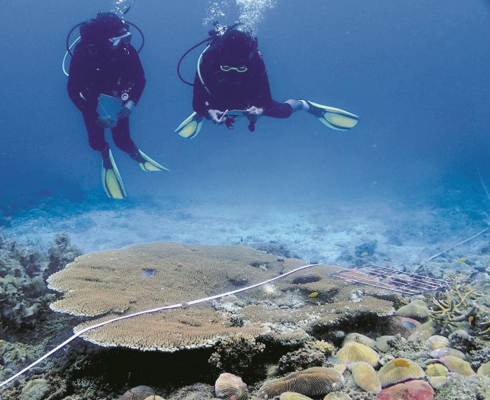 Kelestarian laut teras keterjaminan makanan negara 1 18 laut 1