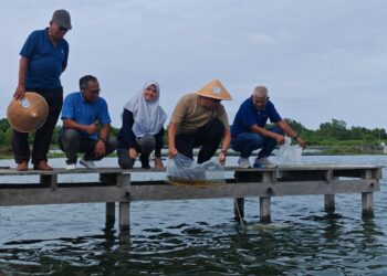 MUHAMAD Akmal Saleh (dua dari kanan) melepaskan satu juta benih udang putih di Projek Ternakan Udang LKIM Fasa II, Kampung Sebatu, Melaka. - UTUSAN/AMRAN ALI