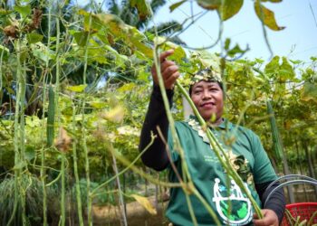 BELANJAWAN 2026 sewajarnya menjadi titik permulaan kepada perubahan struktur yang memastikan wanita Orang Asli memiliki hak, peluang dan ruang untuk berdiri sama tinggi dalam pembangunan Malaysia moden.