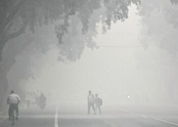 JEREBU merupakan ancaman serius terhadap kesihatan, alam sekitar dan juga ekonomi.