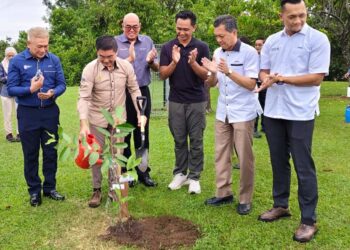 TEH KOK LIM (dua dari kiri) menyiram pokok hutan yang ditanam pada program Green Tech Perak 2025 di Bulatan Sultan Azlan Shah di Ipoh, Perak hari ini.