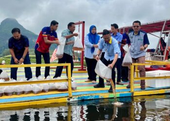 RAHIMI Ismail (lima dari kiri) melepaskan anak benih udang galah di Santuari Ikan Air Tawar Timah Tasoh, Padang Besar, Perlis. -UTUSAN/ASYRAF MUHAMMAD