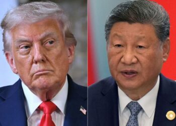 DONALD TRUMP dan XI JINPING