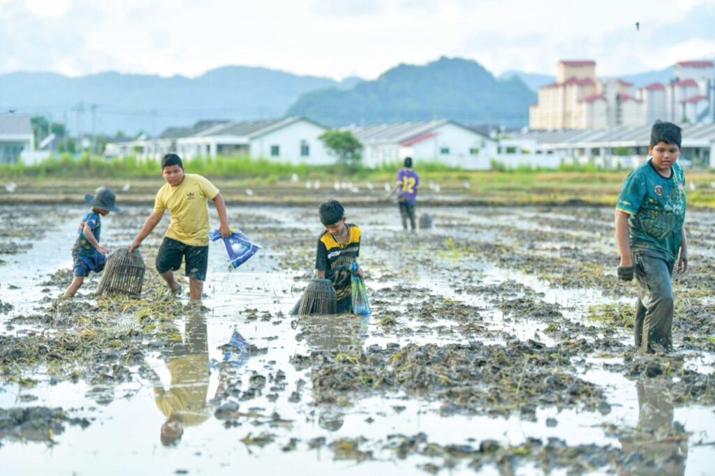 Kepuasan berkubang ‘menggagau’ ikan 1 BAru serkap ikan