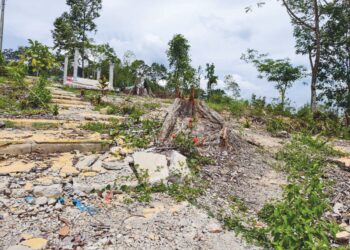 Laluan utama menuju jeti di Tasik Bera di Bera, Pahang kini bagaikan padang jarak padang tekukur sekali gus mengubah landskap tasik semula jadi tasik air tawar terbesar negara.