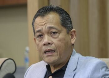 Hamidin Mohd Amin