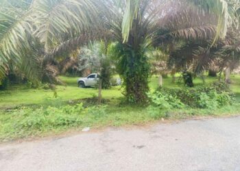 TRAK pikap yang disyaki digunakan dalam rompakan kedai emas di Sungai Golok ditemukan di kebun sawit di Mukim Kayukhla, Daerah Waeng, Narathiwat, Thailand, Kelmarin-IHSAN POLIS.