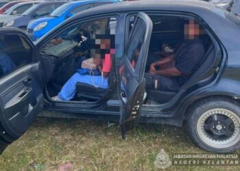 SEBAHAGIAN PATI yang ditahan JIM dalam serbuan di Lembah Sireh, Kota Bharu, Kelantan semalam.-IHSAN JIM KELANTAN.