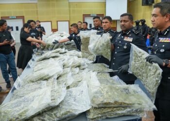 Bunga ganja