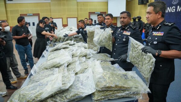 Bunga ganja