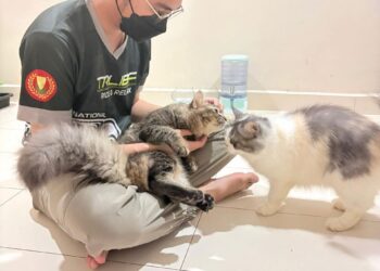 MELAYAN si bulus bagaikan terapi buat Muhammad Shazmier