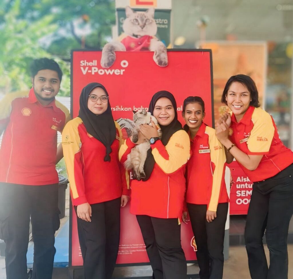 Dari kucing jalanan ke pekerja Shell