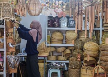 MISI utama SJPP ialah membantu PKS yang menghadapi kekurangan cagaran atau yang tidak memenuhi kriteria pinjaman tradisional untuk mendapatkan pembiayaan.
