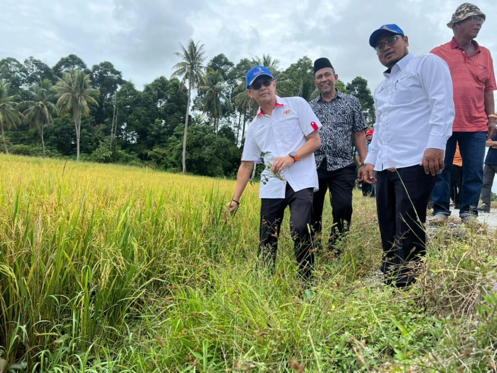 RM400 juta naik taraf sistem pengairan pertanian 1 TANU