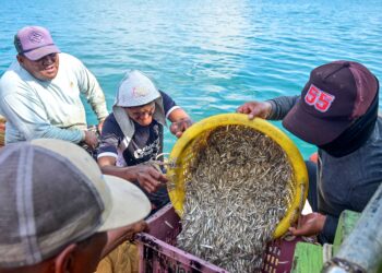 AWAK-AWAK menarik pukat jerut bilis di perairan Pantai Pandak, Chendering, Kuala Terengganu. – UTUSAN/PUQTRA HAIRRY