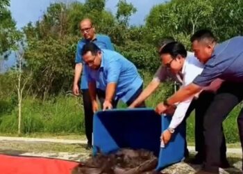 SEBAHAGIAN daripada ikan Keli Afrika yang dilepaskan ketika pertandingan memancing anjuran MBSP di Bukit Mertajam, Pulau Pinang, baru-baru ini.-FACEBOOK/JEJAK AIR TAWAR