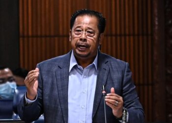 ABDUL RAHMAN MOHAMAD