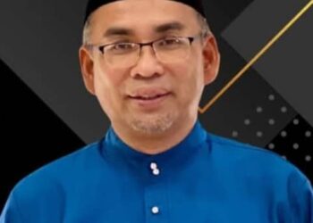 MOHAMAD DZIAUDDIN MAT SAAD