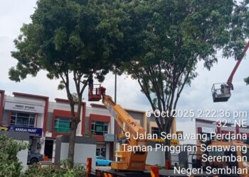 KERJA-kerja penyelenggaraan dan pemangkasan pokok dijalankan sekitar premis MyKiosk di Taman Perdana Senawang, Seremban.-GAMBAR/MBS
