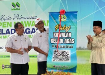 Dr. Ismail Salleh melakukan gimik pada Majlis Peluncuran Kempen Kawalan Keladi Agas di Kawasan Muda di PPK MADA F-II Jerlun Ayer Hitam di Jerlun, hari ini.
