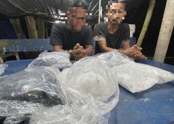 MARITIM Malaysia menahan dua lelaki warga Indonesia yang dipercayai cuba menyeludup dadah bernilai RM165,000 memasuki negara ini di kawasan pesisir pantai Forest City, Iskandar Puteri.