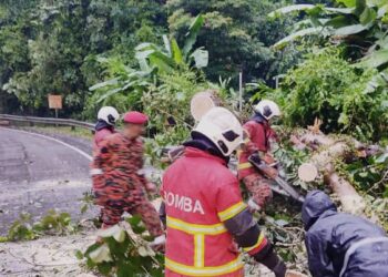 Anggota bomba dan penyelamat membersihkan kawasan pokok tumbang di sekitar Paya Terubong, Pulau Pinang, hari ini.-IHSAN/JBPM PULAU PINANG