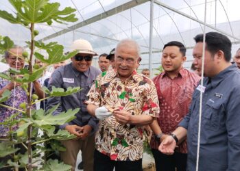 BAKHTIAR Aliff Ibrahim (kanan) mengiringi Mohd. Ali (tiga dari kanan) ketika lawatan ke ladang buah tin AKE Benefigs di Jasin, Melaka.UTUSAN/ MUHAMMAD SHAHIZAM TAZALI