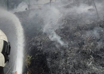 PASUKAN bomba memadam kebakaran hutan yang merebak seluas kira-kira 2.4 hektar dekat Jalan Pulau Angsa, berdekatan Persiaran Mokhtar Dahari, Puncak Perdana, di Shah Alam, Selangor, kelmarin. - IHSAN JBPM SELANGOR