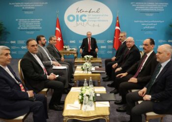 PERTUBUHAN Kerjasama Islam (OIC)  tetap berperanan sebagai platform penting dalam memperjuangkan kepentingan umat Islam di peringkat antarabangsa.