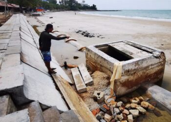 Tanam bakau, pokok kelapa sebagai benteng hakisan pantai PD