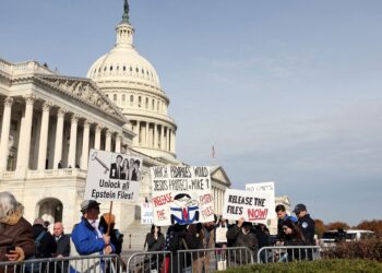SEORANG penunjuk perasaan mengadakan demonstrasi di luar Capitol AS selepas sidang media mengenai Akta Ketelusan Fail Epstein di Washington.- AFP