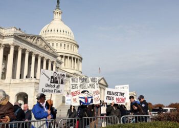 SEORANG penunjuk perasaan mengadakan demonstrasi di luar Capitol AS selepas sidang media mengenai Akta Ketelusan Fail Epstein di Washington.- AFP