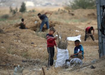 KANAK-KANAK Gaza mengumpul ranting kayu untuk dijadikan bahan bakar di Bureij. – AFP