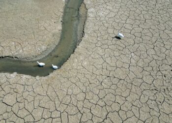 GAMBAR dari udara yang diambil pada 14 Mei 2025 menunjukkan keadaan kolam yang hampir kering berhampiran Oud-Heverlee, Belgium.- AFP