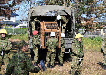 PASUKAN tentera membuat persiapan untuk memburu beruang 
di kawasan pergunungan di Jepun. – AGENSI