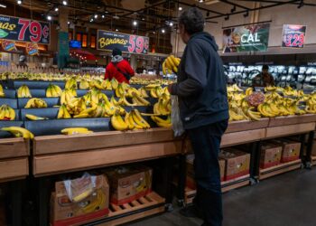 PENDUDUK membeli buah pisang di sebuah pasar raya di Brooklyn, New York. – AFP