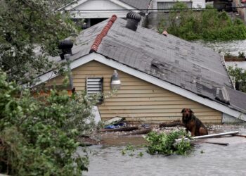 SEEKOR anjing terperangkap di tepi bumbung rumah selepas Taufan Katrina membadai New Orleans, Amerika Syarikat pada 29 Ogos 2005. – AFP