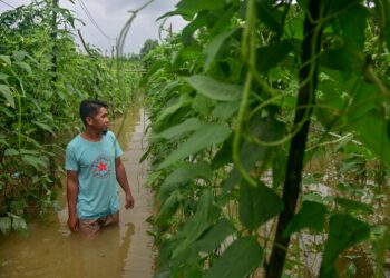 SITUASI ketika ini menunjukkan bahawa ekonomi kecil baik di bandar mahupun desa sangat rapuh ketika berdepan ujian alam seperti bencana banjir.