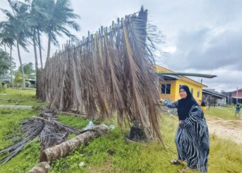 SHAMSIAH Mat menunjukkan penghadang angin yang diperbuat daripada pelepah kelapa di Pantai Kubang Golok, Bachok, Kelantan. 
– UTUSAN/YATIMIN ABDULLAH