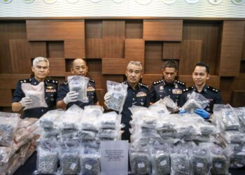 ADZLI Abu Shah (tengah) menunjukkan ganja yang dirampas polis  dalam sidang akhbar di IPK Kedah di Alor Setar. semalam -UTUSAN/ SHAHIR NOORDIN