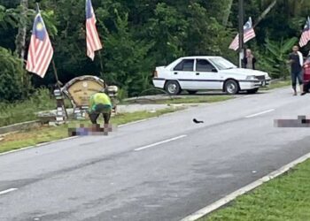 DUA kanak-kanak maut selepas basikal mereka dirempuh dari belakang oleh sebuah kereta di Kampung Sedaka Tengah, Yan.