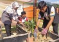 Pelajar Politeknik Nilai Arif Haikal menggunakan racun organik Bioshade inovasi yang dibangunkan bagi menilai keberkesanannya terhadap serangga perosak. – UTUSAN/NUR SHARIEZA ISMAIL