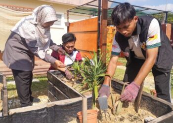 Pelajar Politeknik Nilai Arif Haikal menggunakan racun organik Bioshade inovasi yang dibangunkan bagi menilai keberkesanannya terhadap serangga perosak. – UTUSAN/NUR SHARIEZA ISMAIL