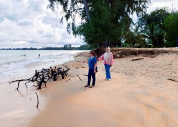 PENDUDUK dan pengusaha chalet di Pantai Cherating Lama di Kuantan, Pahang bimbang masalah hakisan pantai yang mula dikesan berlaku pada September 2024 makin serius terutama pada musim tengkujuh ketika ini.