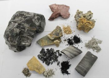 MALAYSIA tidak boleh terus bergantung kepada pelabur asing untuk menentukan masa hadapan sektor nadir bumi.