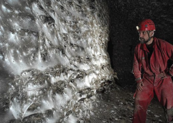 SARANG gergasi itu menjadi tempat tinggal dua spesies labah-labah. – AGENSI